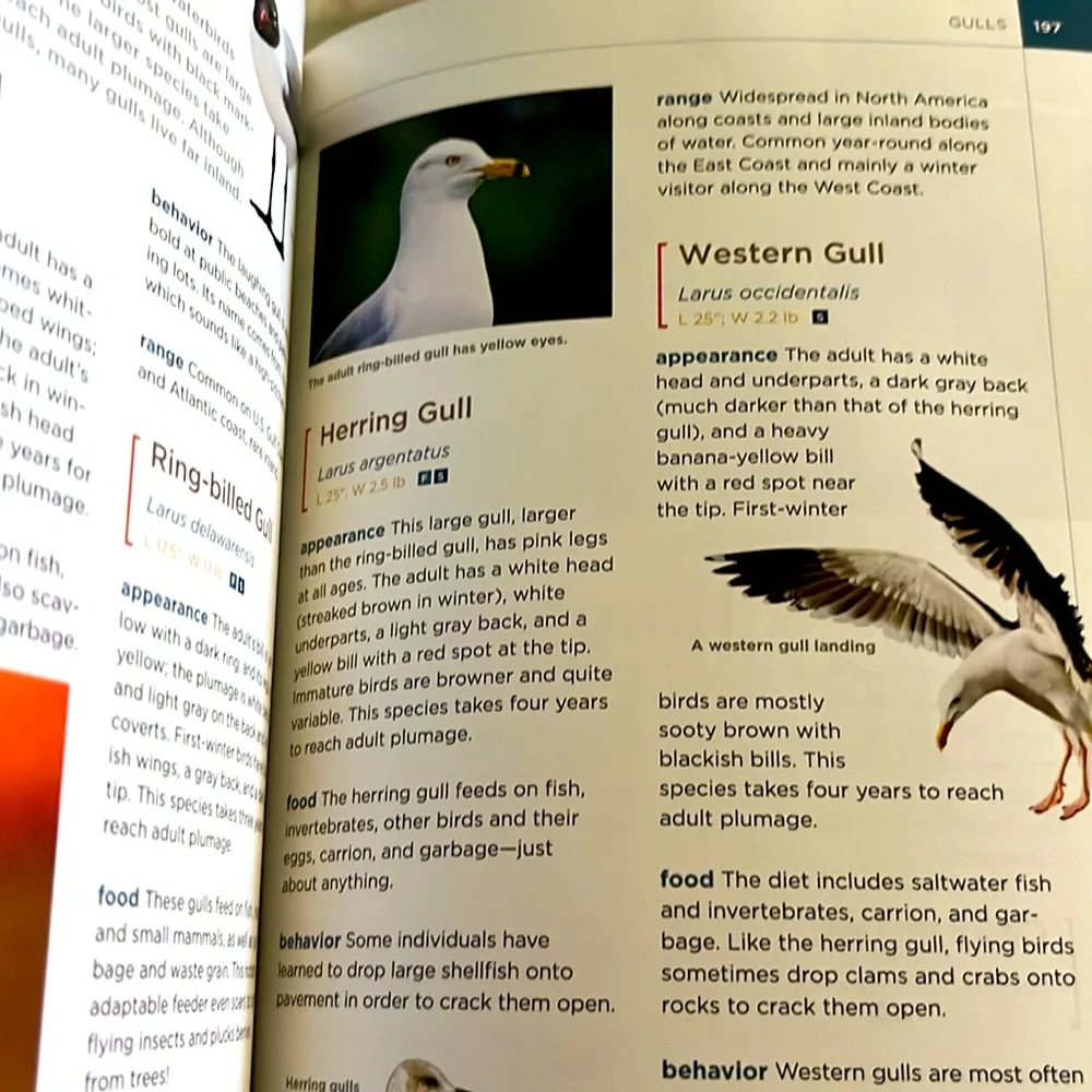 National Geographic Field Guide to the Water's Edge Hardcover Book EXC - Picture 11 of 16